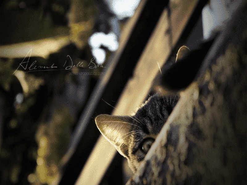 国内三代供卵例子,山东临沂做试管婴儿成功率最高的医院是哪里？如何选-国内