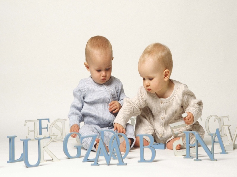 蚂蚁试管巢diy（运送试管被车撞到）